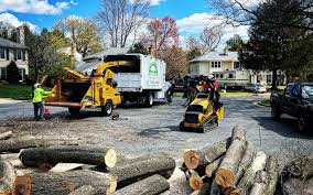 Best Seasonal Cleanup  in Malibu, CA